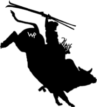 Competition Series image